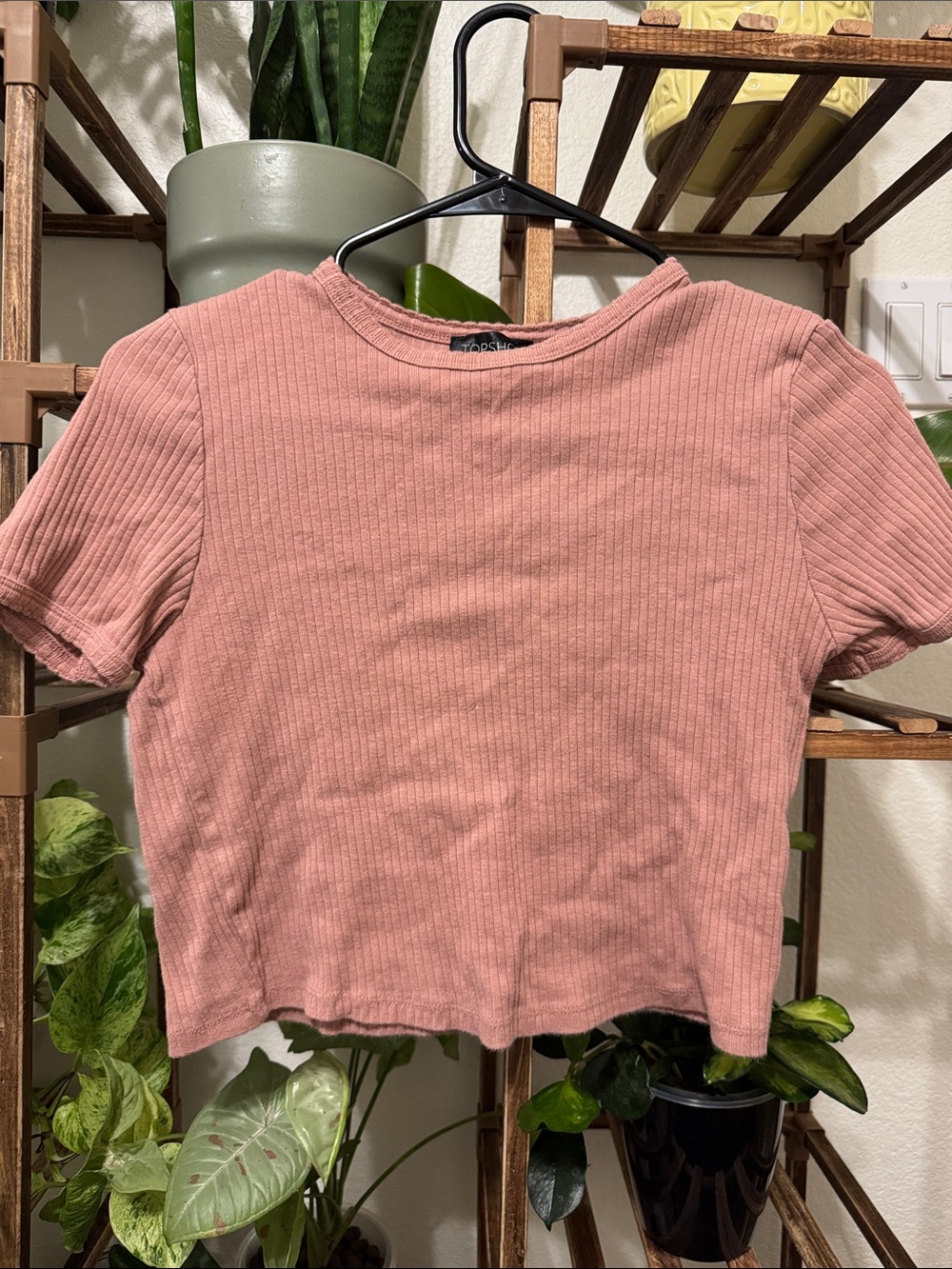 Topshop Dusty Pink Ribbed Short Sleeve Crop Top